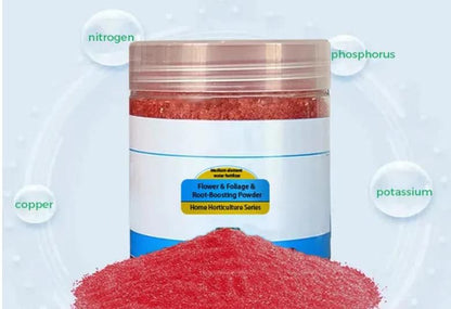 Root Boosting Powder 400 gm Pack of 2